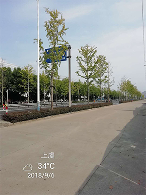 圖片25x.jpg