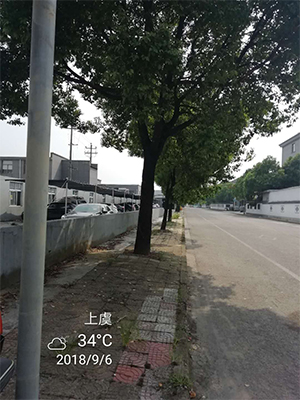 圖片28x.jpg