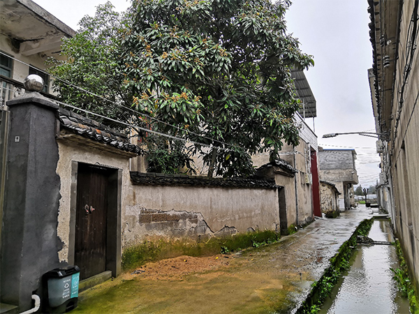 圖片14d.jpg
