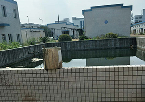 圖片2x.jpg