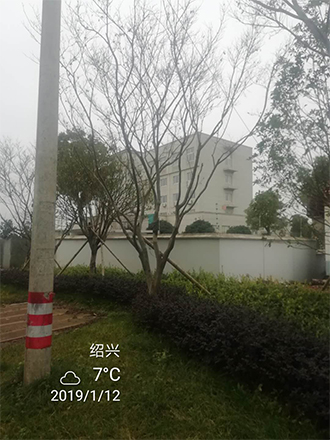 圖片9x.jpg