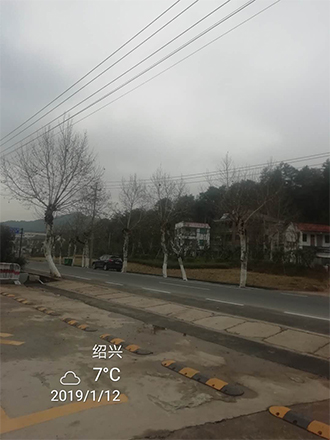 圖片11x.jpg