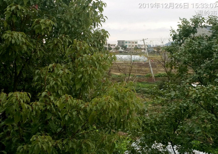 GZ【X】臺(tái)2019-060 溫嶺市京運(yùn)加油站現(xiàn)狀評(píng)價(jià) 網(wǎng)上公開(kāi)信息表673.jpg