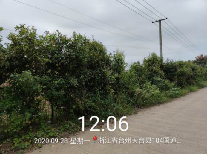 GZ【X】臺(tái)2020-066浙江天成自控有限公司危險(xiǎn)化學(xué)品使用安全現(xiàn)狀評(píng)價(jià)報(bào)告網(wǎng)上公開1138.jpg