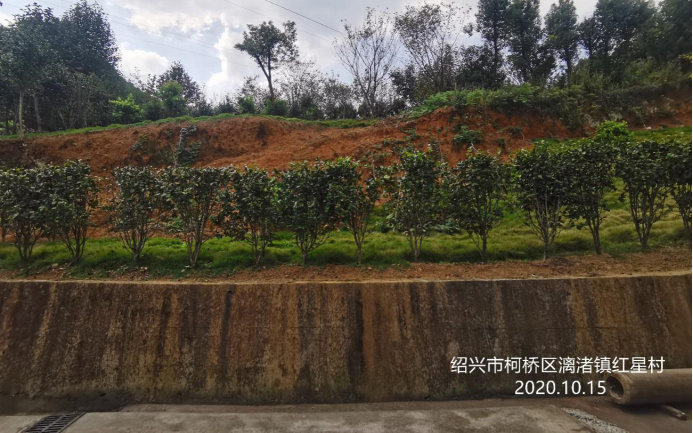 GZ【X】柯2020-024紹興柯橋亮劍機(jī)械有限公司高溫熔融作業(yè)專項(xiàng)安全現(xiàn)狀評價(jià)網(wǎng)上信息公開表1056.jpg