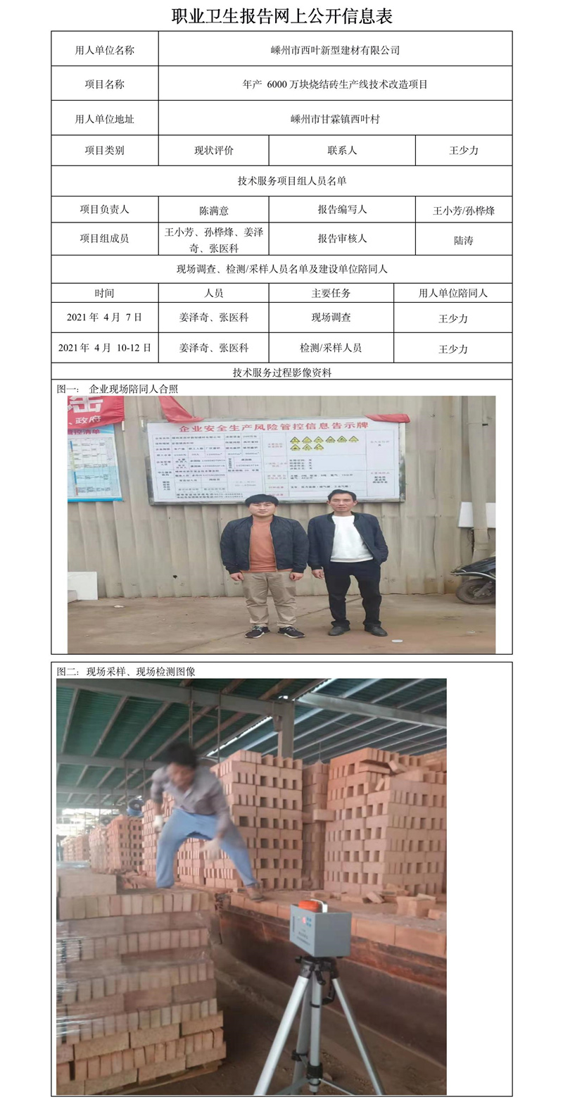 嵊州西葉新型建材有限公司職業(yè)衛(wèi)生報告網(wǎng)上公開信息表.jpg