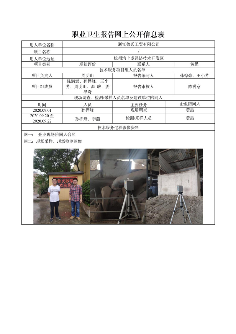 浙江魯氏工貿有限公司職業(yè)病危害現(xiàn)狀評價報告網上公開信息表_01.jpg
