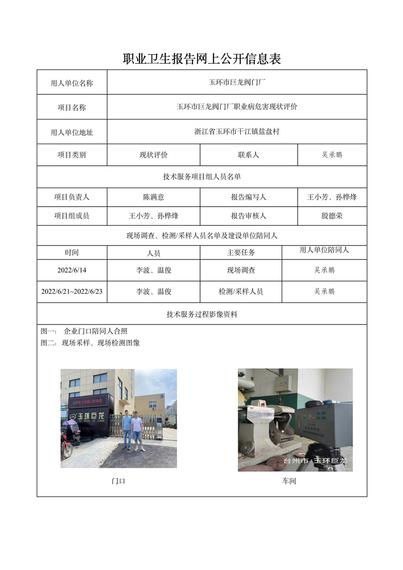 玉環(huán)市巨龍閥門廠日期10月現(xiàn)狀評價檢測_01.jpg
