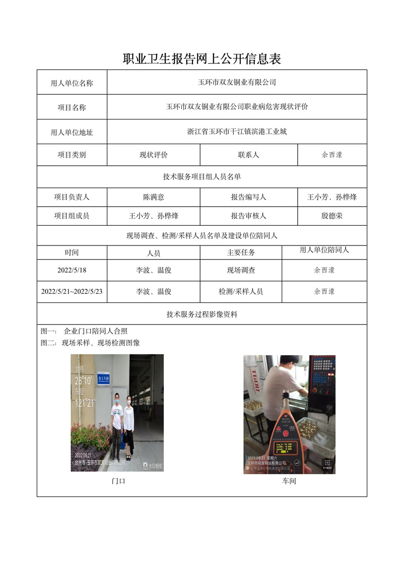 玉環(huán)市雙友銅業(yè)有限公司日期11月現(xiàn)狀評價(jià)檢測_01.jpg